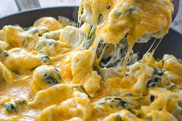 CREAMY SPINACH TORTELLINI