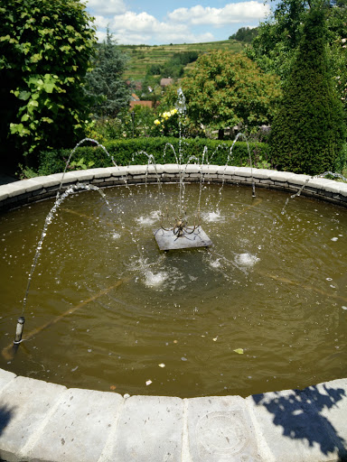 Springbrunnen bei den Rosen