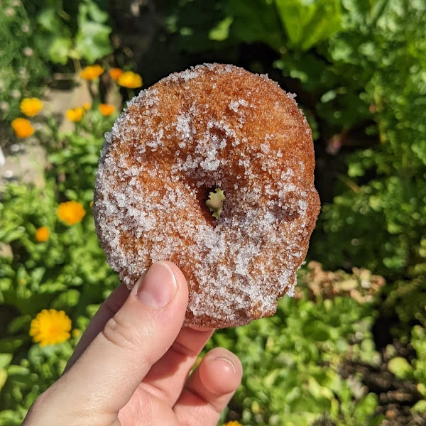 Gluten-Free Donuts at The Home Kitchen