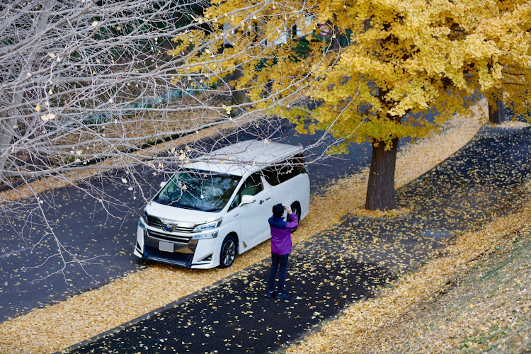 ヴェルファイアの2023ベストショット12月・市川市霊園・イチョウ並木・いつもイイネ&コメントありがとうございます🙇‍♂️に関するカスタム事例の投稿画像6枚目