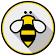 Spelling Bee  icon