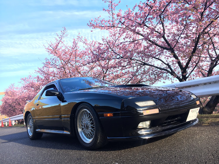 RX-7の花見・河津桜・お花見・洗車に関するカスタム事例の投稿画像2枚目