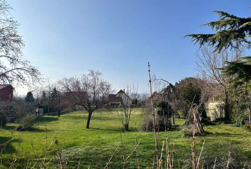  Vente Terrain à bâtir - 440m² à Sainte-Croix-en-Plaine (68127) 