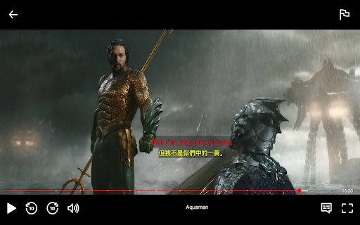 Netflix Dual Subtitles - Subtitle Translator
