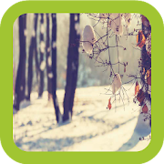 Winter Wallpapers Free  Icon