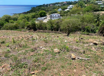 terrain à Vieux Habitants (971)