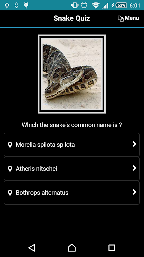 Snake Quiz