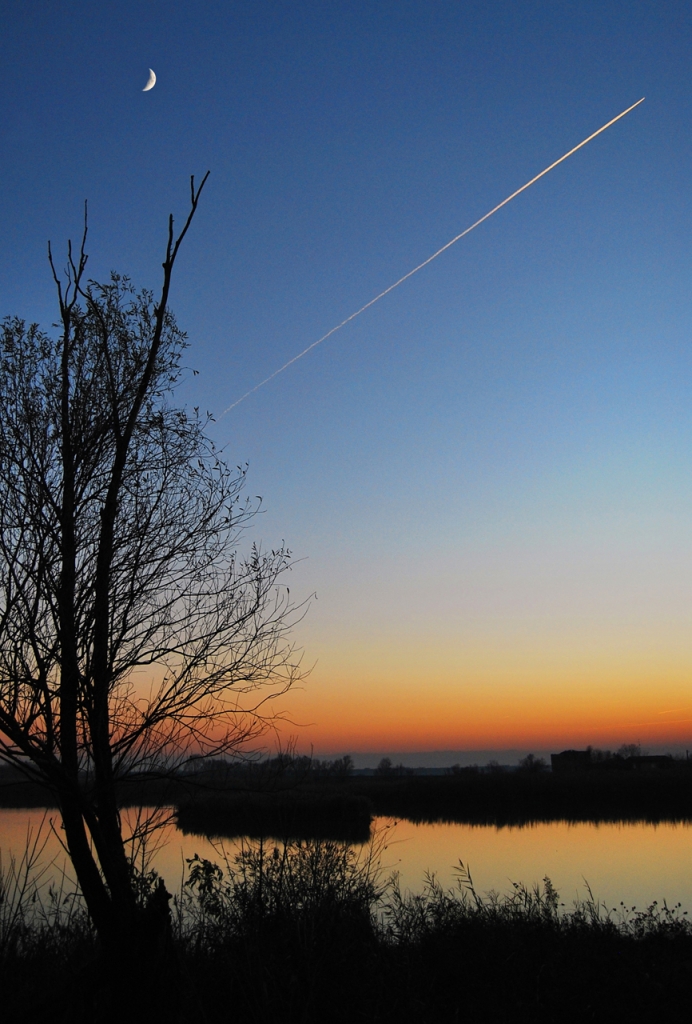 Corri corri che la Luna ti insegue! di silvia_bobo