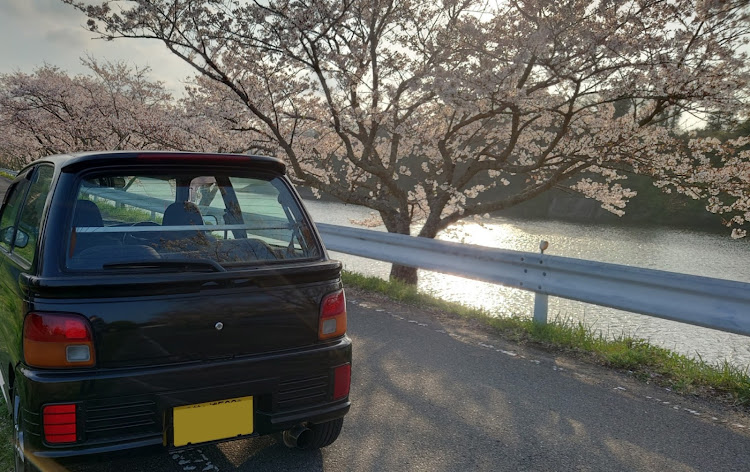 ミラTR-XXの桜・葉桜・ミラ汚い。に関するカスタム事例の投稿画像2枚目