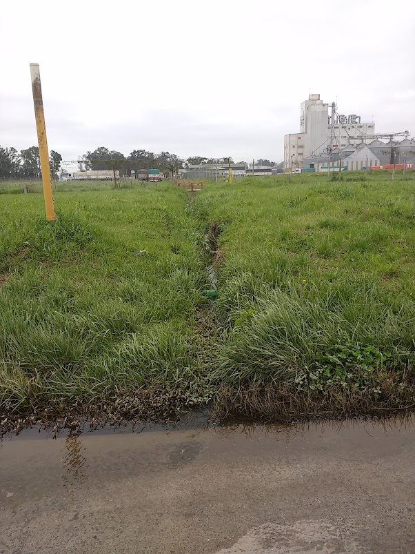 el agua brotaba de este desagüe, metros antes del lugar del choque. ¿La razón por la cual bajaron a la calle?