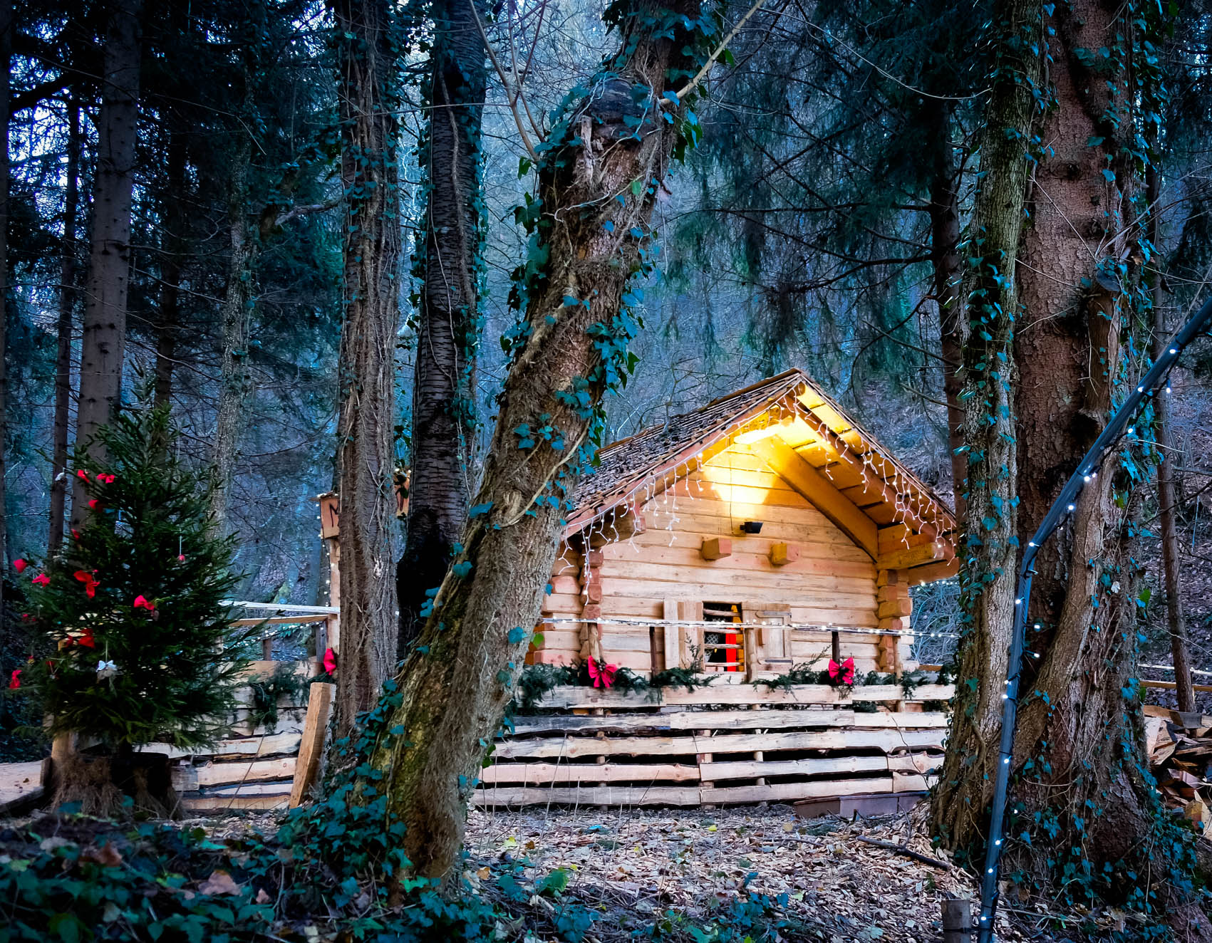 La casa Nel Bosco di Ro51