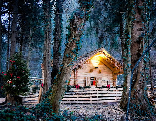 La casa Nel Bosco di Ro51