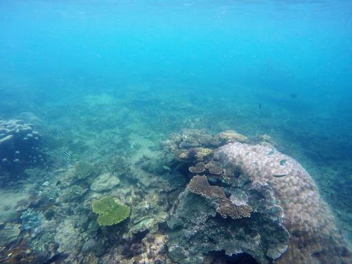 Bintan Underwater Indonesia 2016