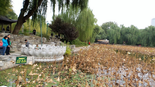 Bamboo Lake Beijing China 2015