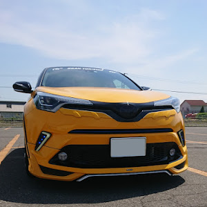C-HR ZYX10