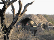 REBIRTH OF A LEGACY: The revolutionary 'Interpretation Centre' at the Mapungubwe World Heritage Site in Limpopo was built using a technique invented in Africa