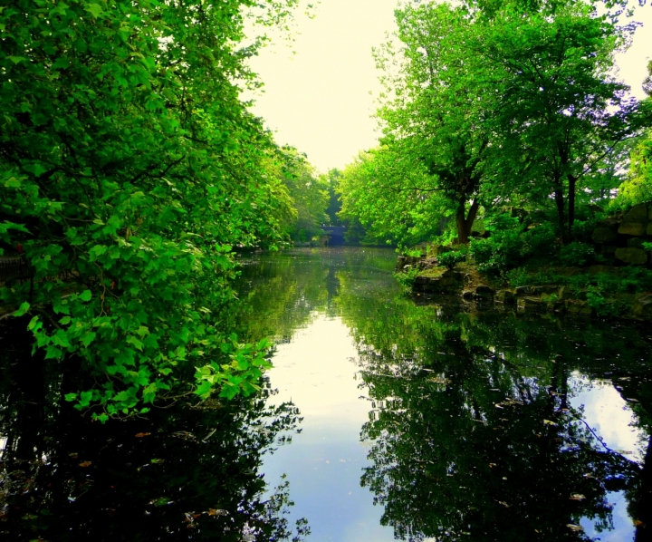 Verde riflesso di lulù2012