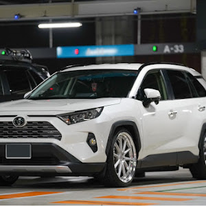 RAV4 MXAA54