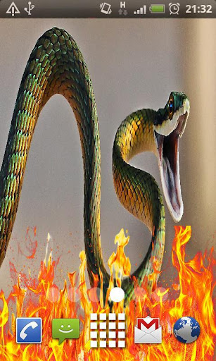 Dangerous snake Live Wallpaper