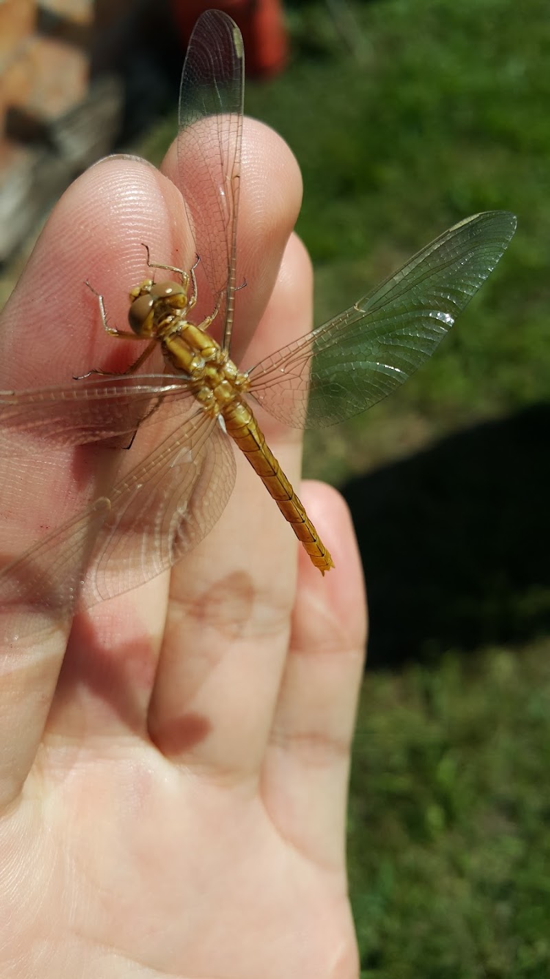 Connesso con la natura  di MorellatoFotoLab