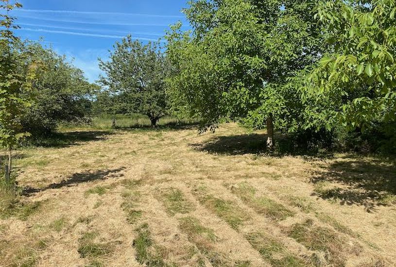  Vente Terrain à bâtir - 4 917m² à Bourg-le-Comte (71110) 