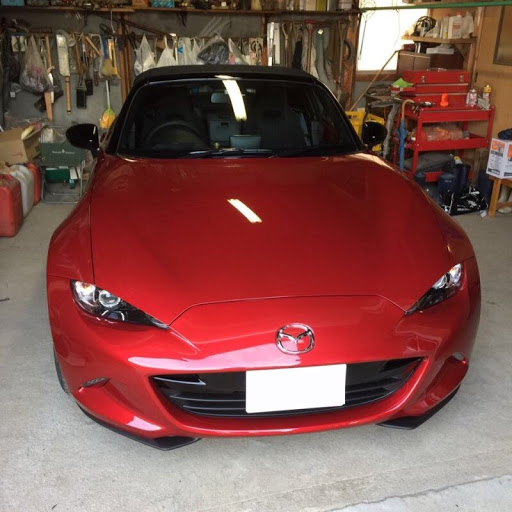 たにのプロフィール画像