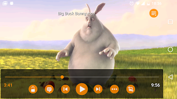 VLC for Android  v2.1.13