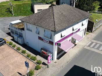 maison à Saint-Priest-Taurion (87)