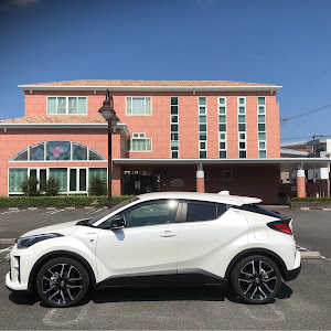 C-HR ZYX11