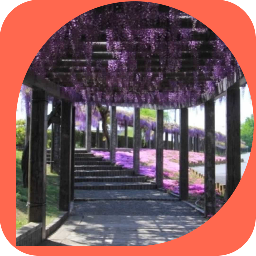 the Flowers in the Path 個人化 App LOGO-APP開箱王