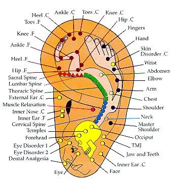 Acupressure Points