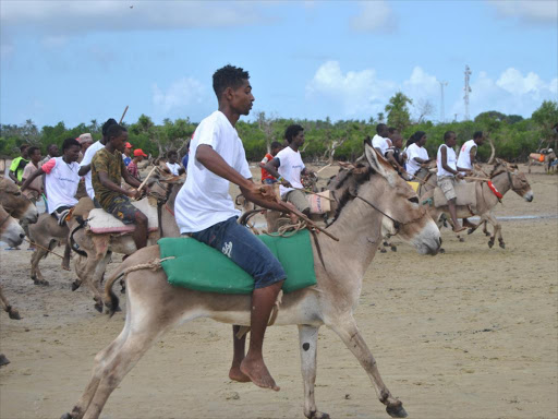 Lamu youths take part in the donkey race a popular cultural activity during the annual tribute to Lamu cultural festival in Faza Island on May 24./ALPHONCE GARI