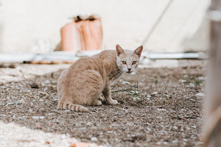 Vestuvių fotografas Δέσποινα Δραπανιώτη (mrsmr). Nuotrauka 2020 sausio 20