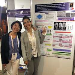 IADR-APR2019