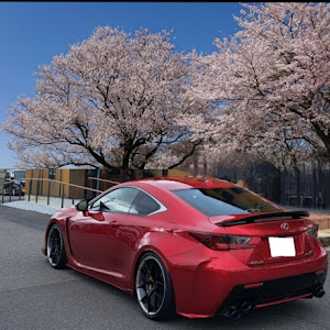 RC F USC10