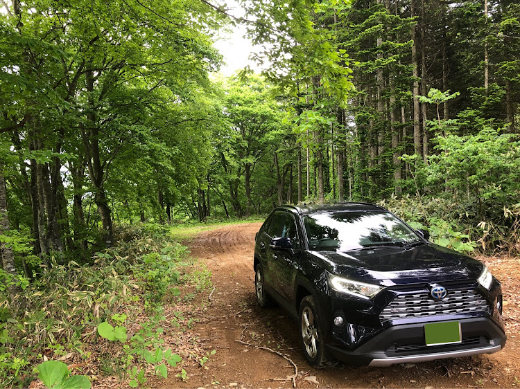 RAV4のＲＡＶ4・休日の癒し・ザ・フィッシング・ヤマメに関するカスタム事例の投稿画像1枚目