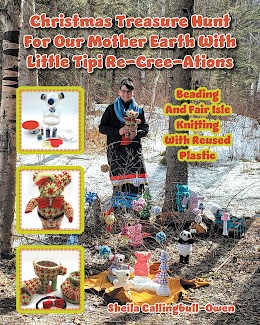 Christmas Treasure Hunt For Our Mother Earth cover