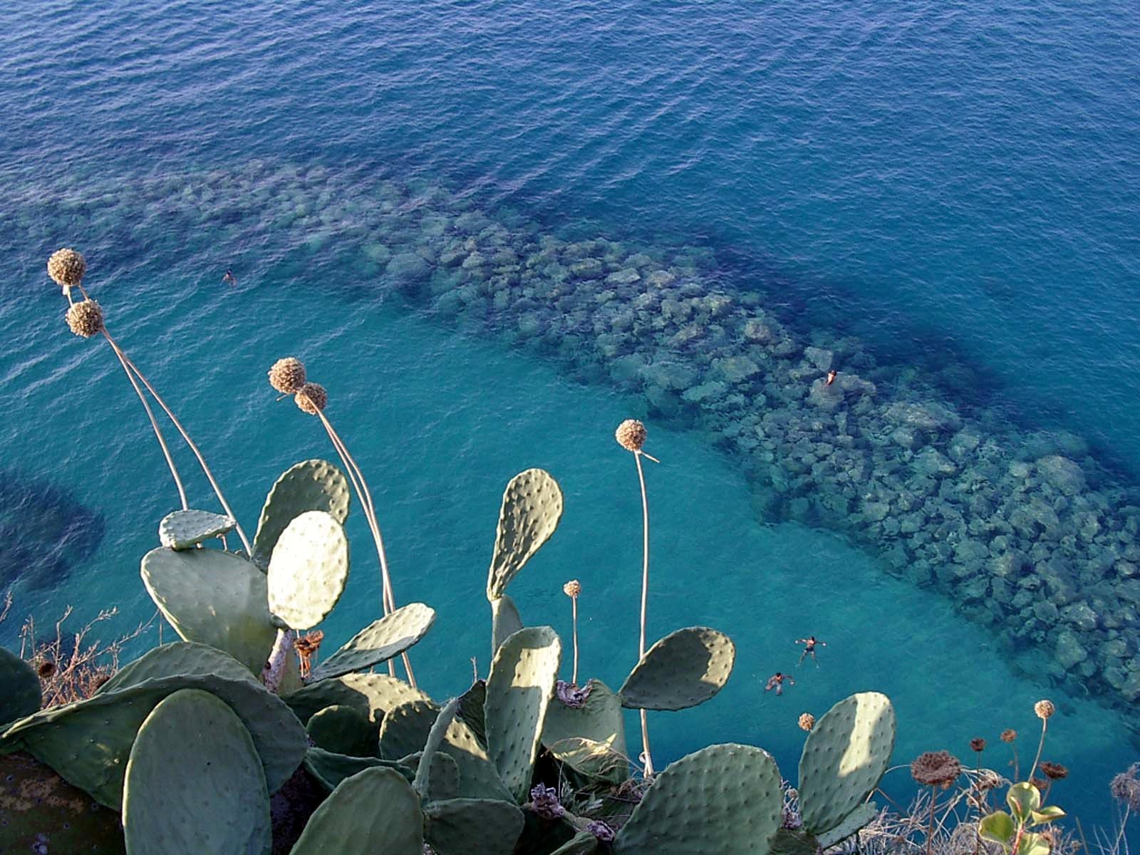 Mare di Tropea di utente cancellato