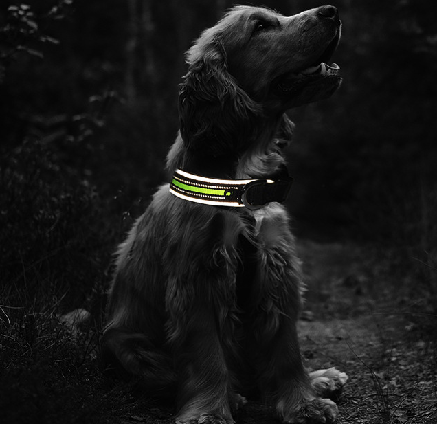 Verdikte, comfortabele Pet Collars Plus Klittenband Lichtgevende Neopreen Honden- en Kattenhalsbanden