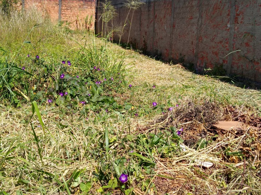 Terrenos à venda Vila Jaiara