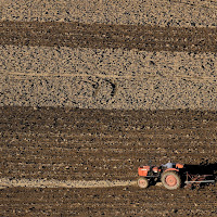 Lavorare la terra di 