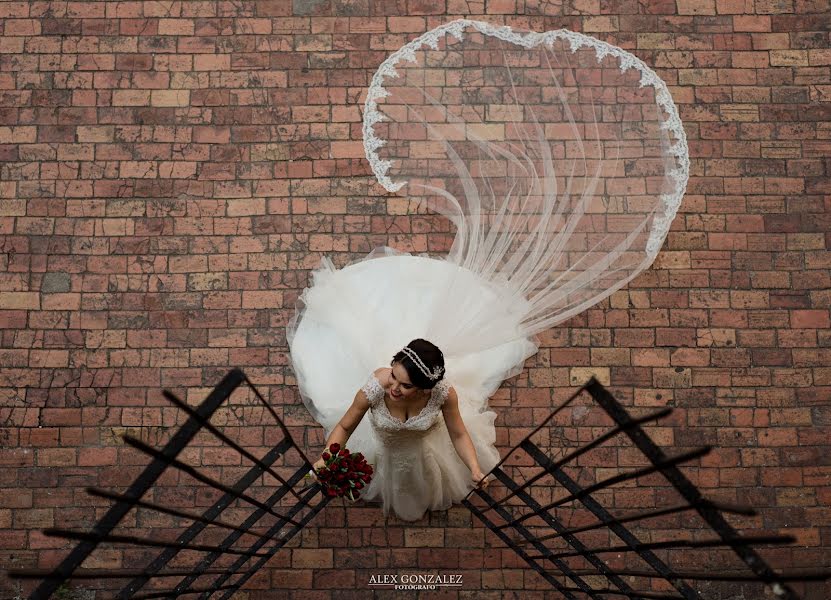 Fotógrafo de bodas Alejandro González (alexgzzph). Foto del 11 de junio 2020