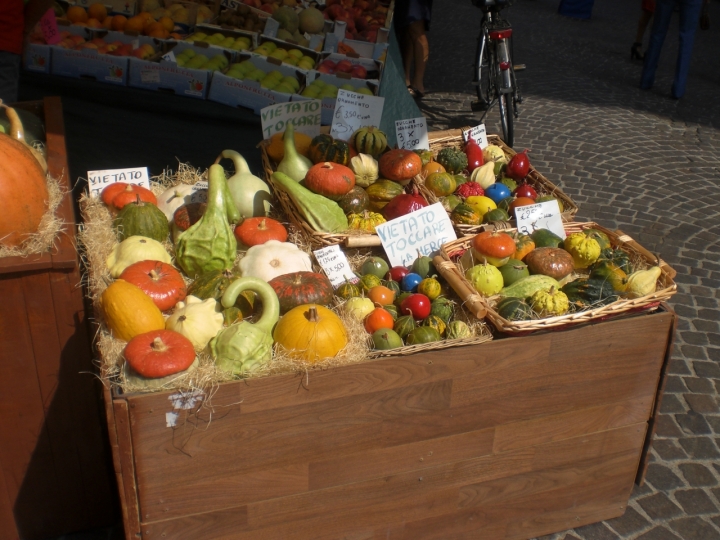 ZUCCHE A COLORI di maxandmary