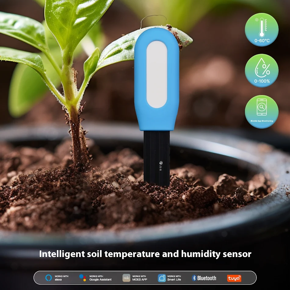 Graffiti Bluetooth Smart Home Merac Temperature Zemlje. Pratite temperaturu zemlje, optimizujte zalivanje i obezbedite zdrave biljke.