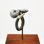 Black Silent Gold Tail
