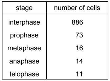 Mitosis