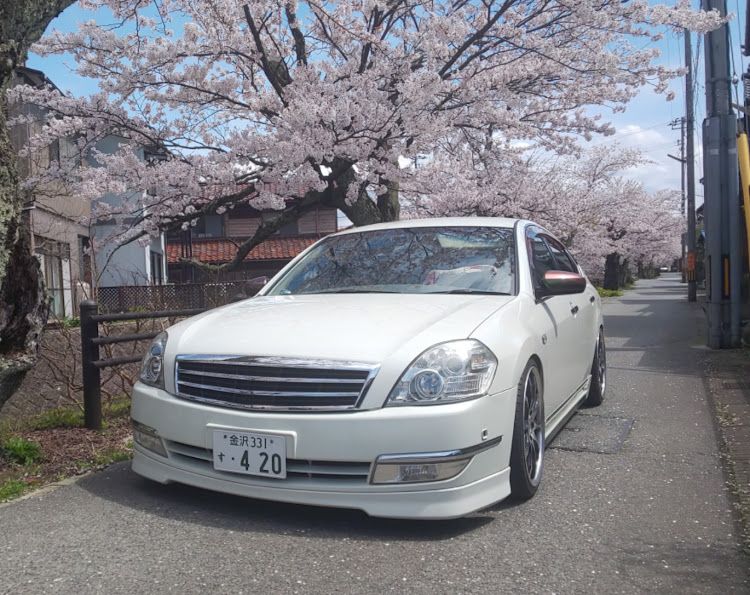 ティアナの写真映えスポット探し・これでもファミリーカー・ツライチ化・良さげな写真スポット教えてください・ティアナはｲｲｿﾞに関するカスタム事例の投稿画像3枚目