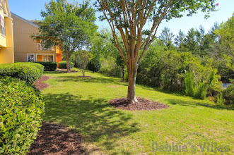 Peaceful views behind the property