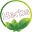 Medicinal Herbs Download on Windows