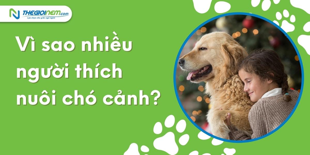 Top những giống chó cảnh được yêu thích nhất